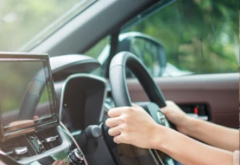 adult Driving School